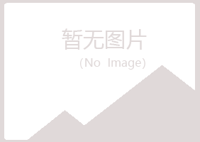 兰山区苍白司法有限公司